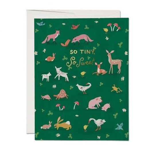 'So Tiny, So Sweet' Baby Animals Card