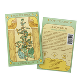 Lemon Balm Tarot Garden + Gift Seed Packet