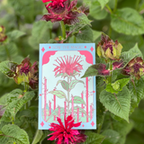 Bee Balm Tarot Garden + Gift Seed Packet