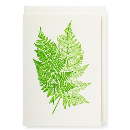 Two Ferns Card