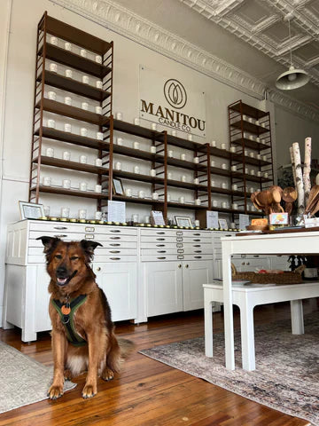 Everything Local Gift Guide