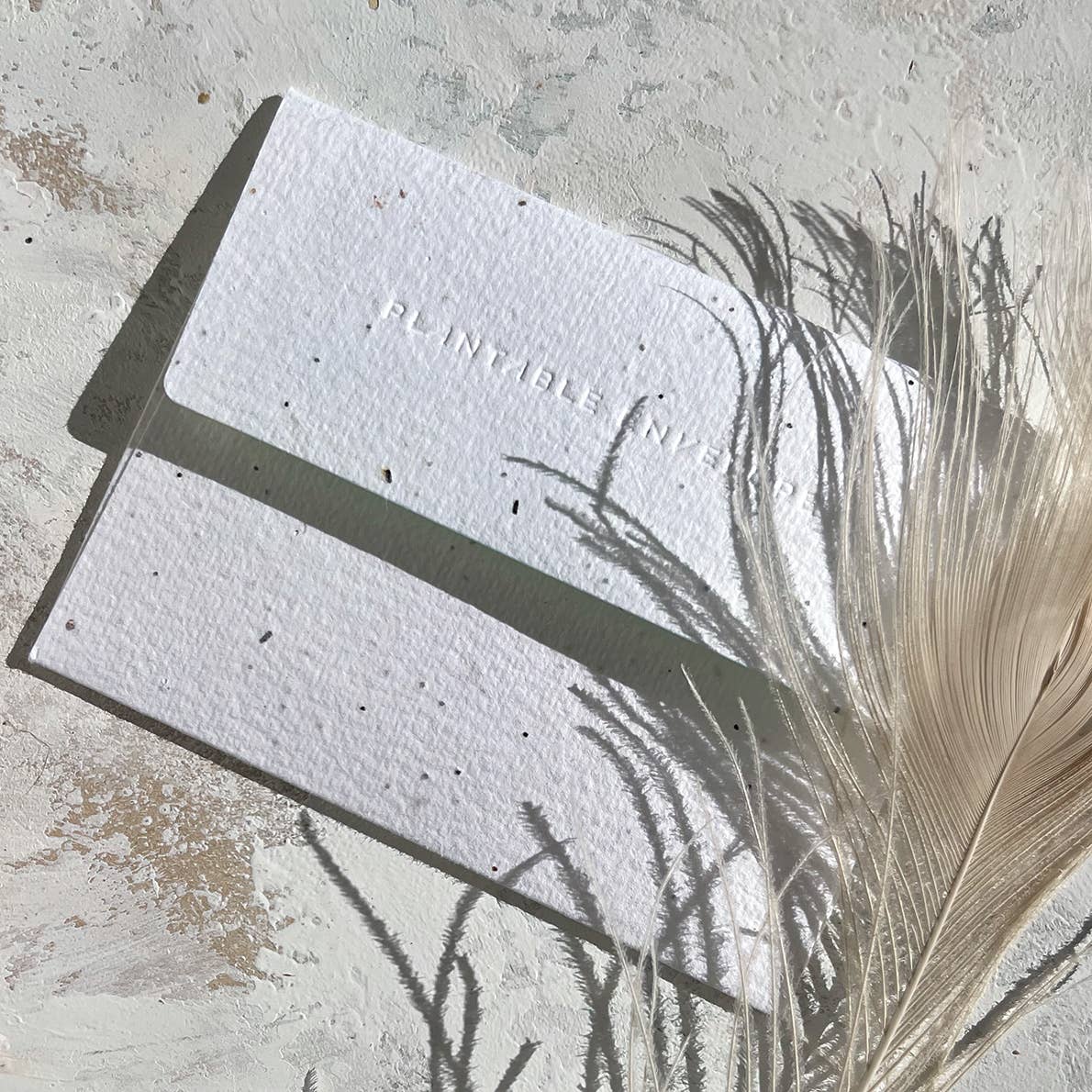 'Always Here To Spill The Tea' Friendship Seed Card