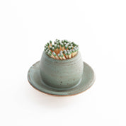 Harper Match Strikers - (Multiple Colors)