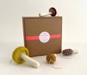 ornament set with mushroom-shaped ornaments and a cardboard box on a white background