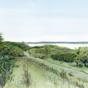 'Spring in the Orchard' - Giclée Fine Art Print (11x14)