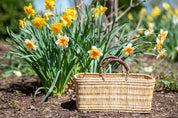 Gardener Long Basket (Medium)