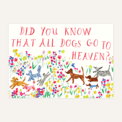 'Did You Know That All Dogs Go To Heaven? - Do Sympathy Card