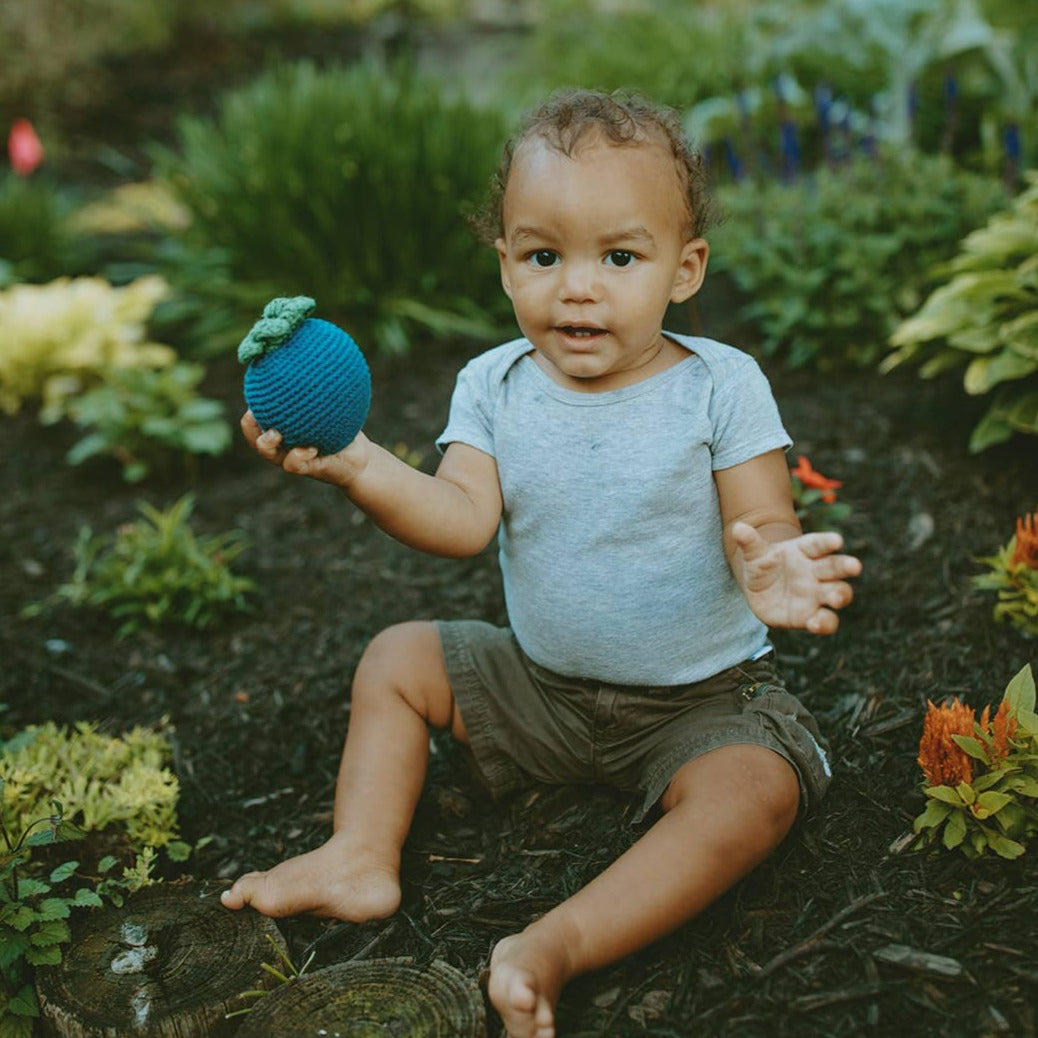 Hand-stitched Plush Blueberry Rattle