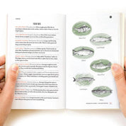 Northern Michigan Field Guide