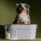 Natural Dog Wash (16oz)