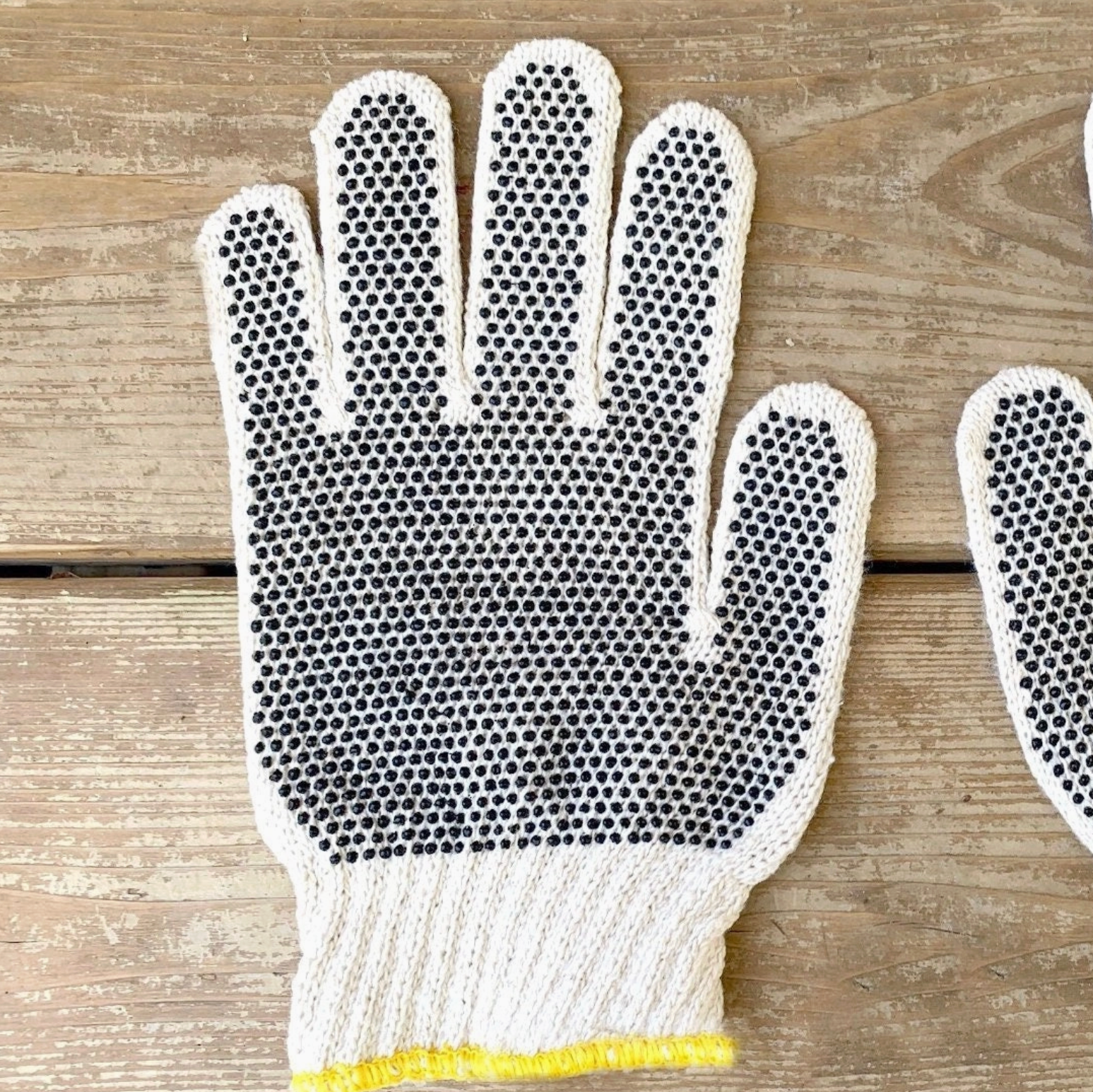 Back_of_Garden_Glove.png