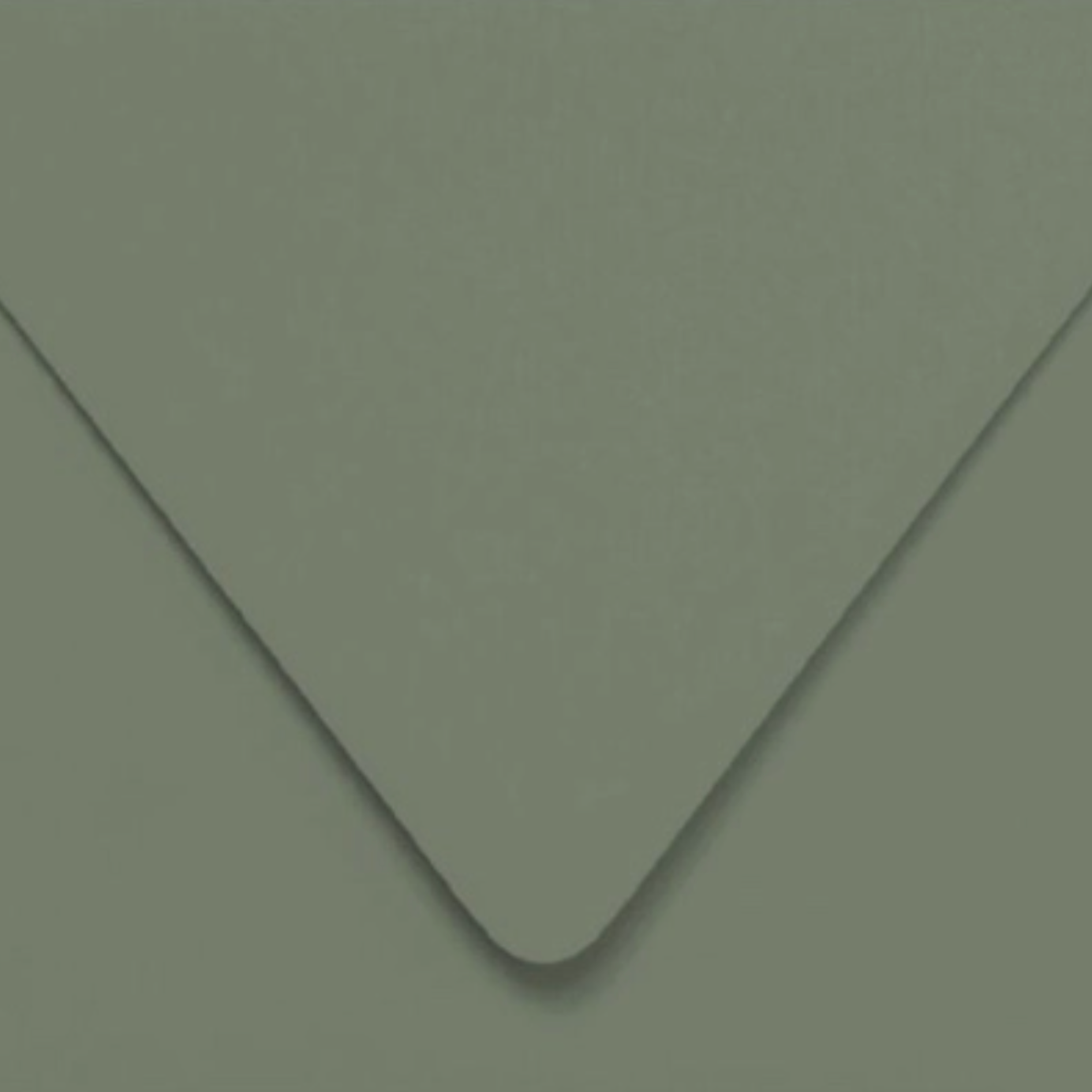 Solid dark green color swatch