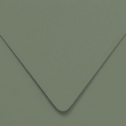 Solid dark green color swatch