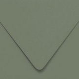 Solid dark green color swatch