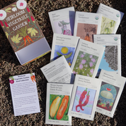 Heirloom Vegetable Garden Seed Collection Box