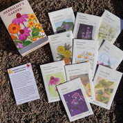 Herbalist's Garden Seed Collection Box