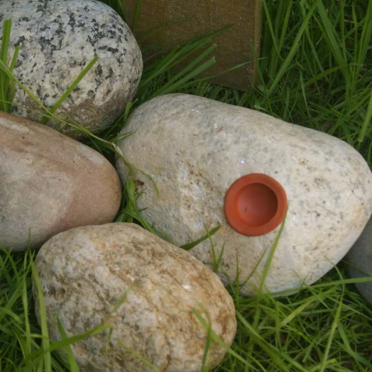 Rocks with a small red object on grass