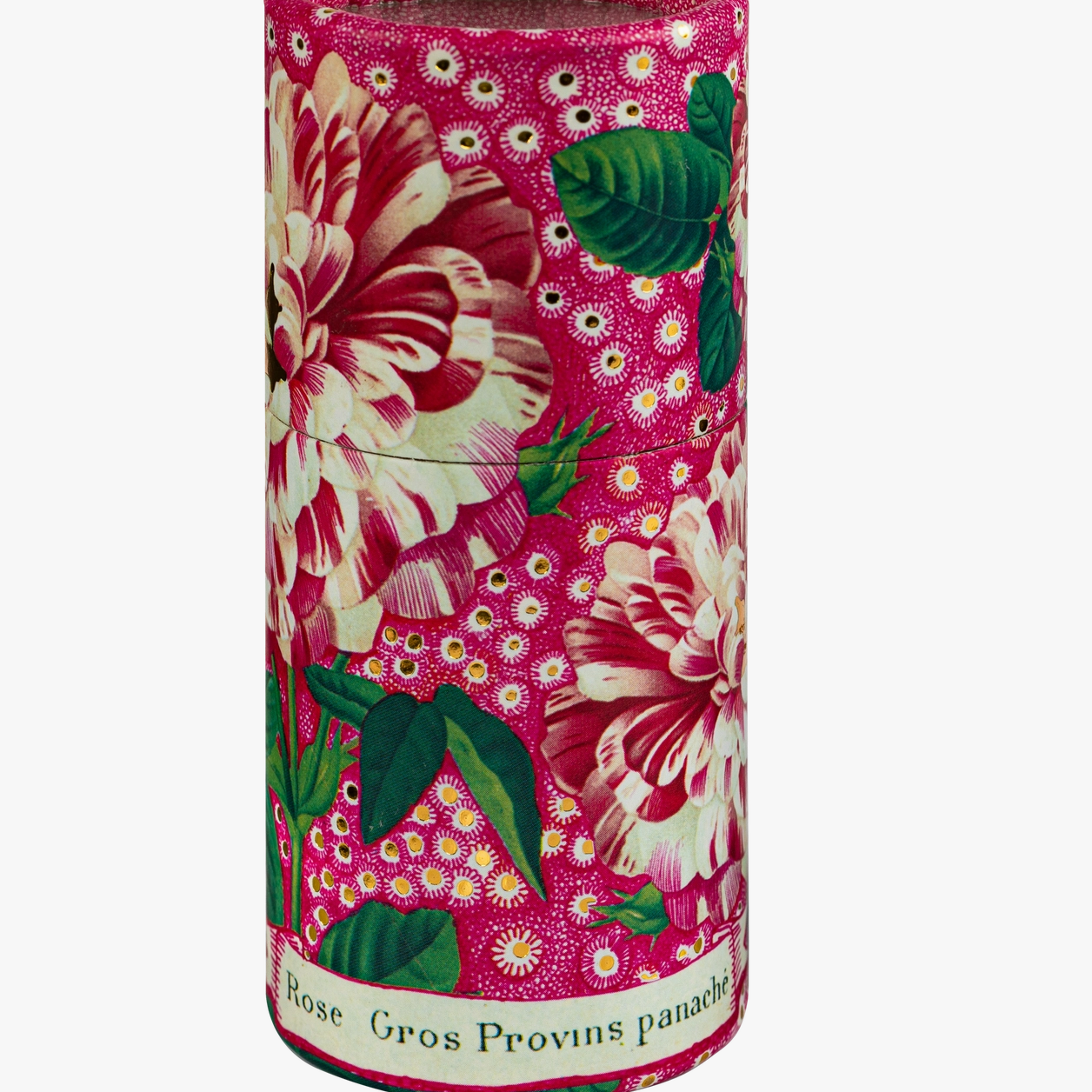 Petunia_Cylinder.png