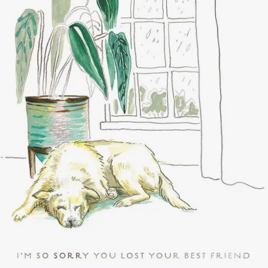 'I'm So Sorry You Lost Your Best Friend' Seed Card