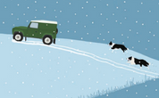 Green Landrover Car and Collie Dogs in the Snow Card
