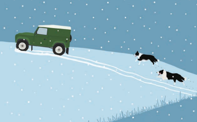 Green Landrover Car and Collie Dogs in the Snow Card