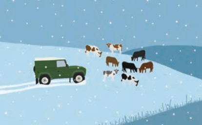 Green Landrover & Cows Snow Card