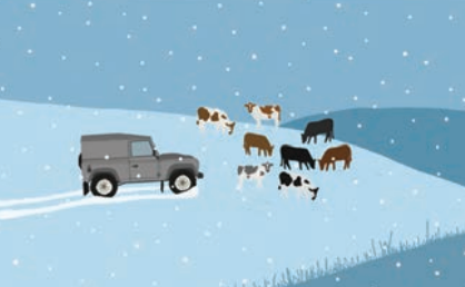 Grey Landrover & Cows Snow Card