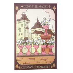 German Chamomile Tarot Garden + Gift Seed Packet