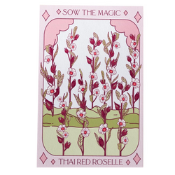 Thai Red Roselle Hibiscus Tarot Garden + Gift Seed Packet