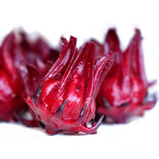 Thai Red Roselle Hibiscus Tarot Garden + Gift Seed Packet