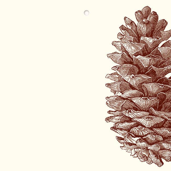 Pinecone Gift Tags (Pack of 10)