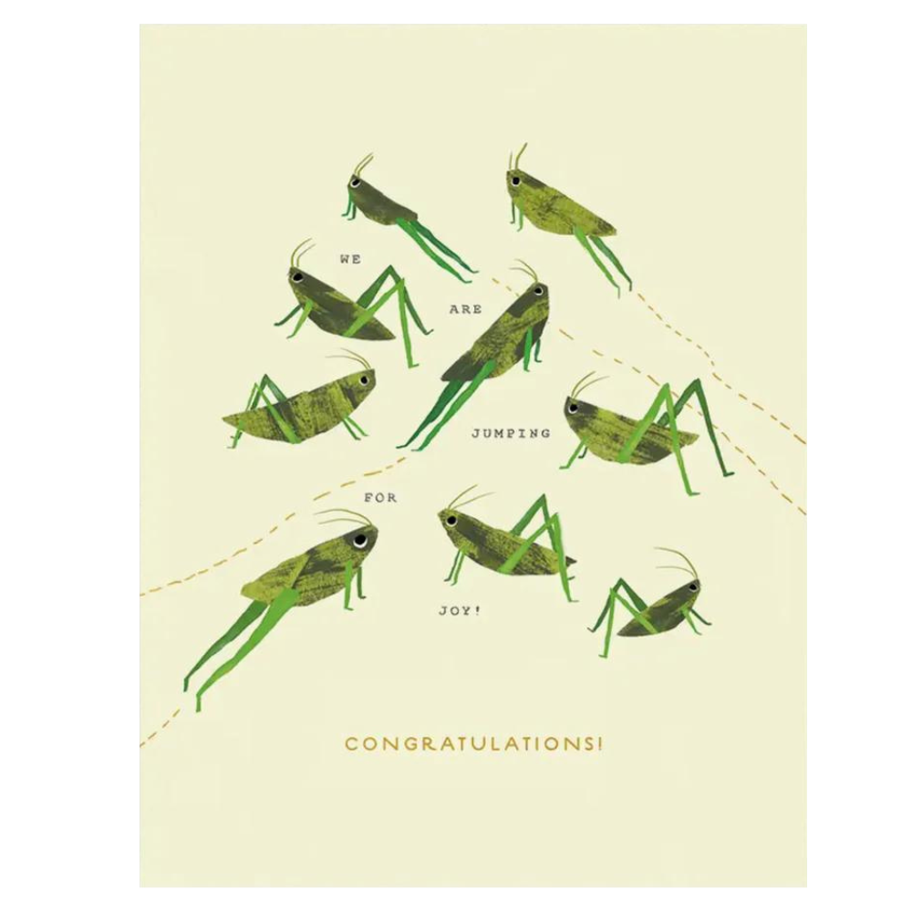 wildflower seed greeting cards We are jumping for joy!' Wildflower Seed Card – Manitou Candle Co