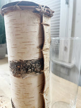 Vintage Thrifted Birch Vases (2 styles)