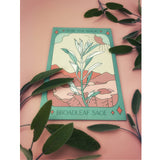 Broadleaf Sage Tarot Garden + Gift Seed Packet