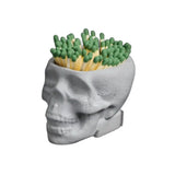 Concrete Skull Match Striker