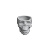 Concrete Skull Match Striker