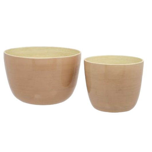 Daydream Bamboo Pot
