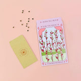 Thai Red Roselle Hibiscus Tarot Garden + Gift Seed Packet