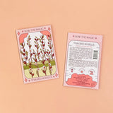 Thai Red Roselle Hibiscus Tarot Garden + Gift Seed Packet