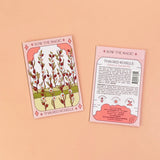 Thai Red Roselle Hibiscus Tarot Garden + Gift Seed Packet
