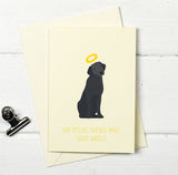 Furry Angel Pet Card (Variety)