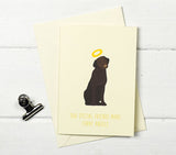Furry Angel Pet Card (Variety)