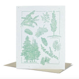 Plantable Letterpress Greeting Card (Multiple Colors)