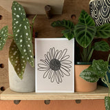 Neutral Flora (5x7)